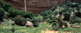 "Bandiagara Escarpment Mali" by Jialiang Gao www.peace-on-earth.org is licensed under CC BY-SA 3.0.